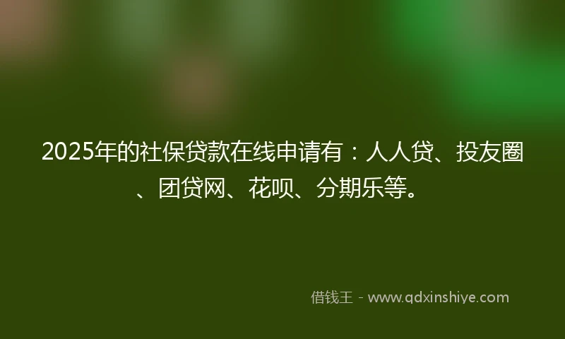2025年的社保贷款在线申请有：人人贷、投友圈、团贷网、花呗、分期乐等。