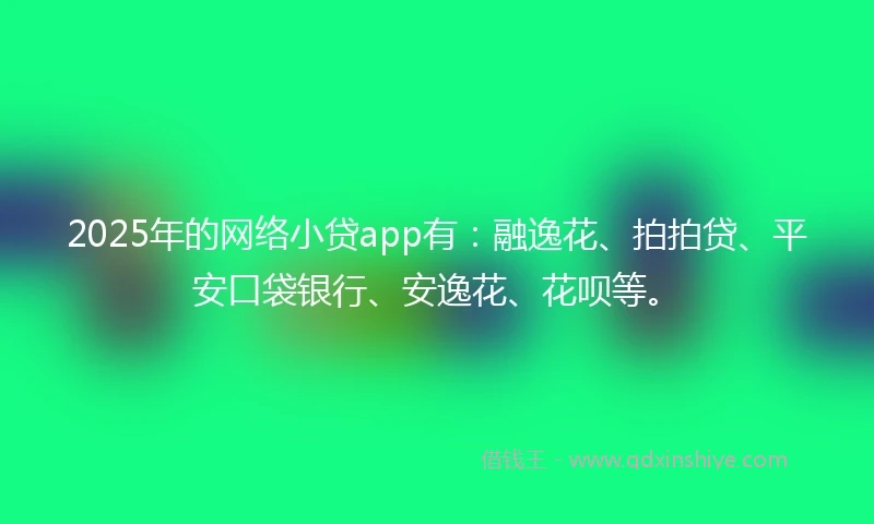 2025年的网络小贷app有：融逸花、拍拍贷、平安口袋银行、安逸花、花呗等。