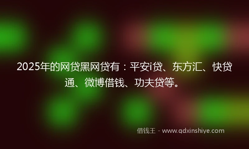 2025年的网贷黑网贷有：平安i贷、东方汇、快贷通、微博借钱、功夫贷等。