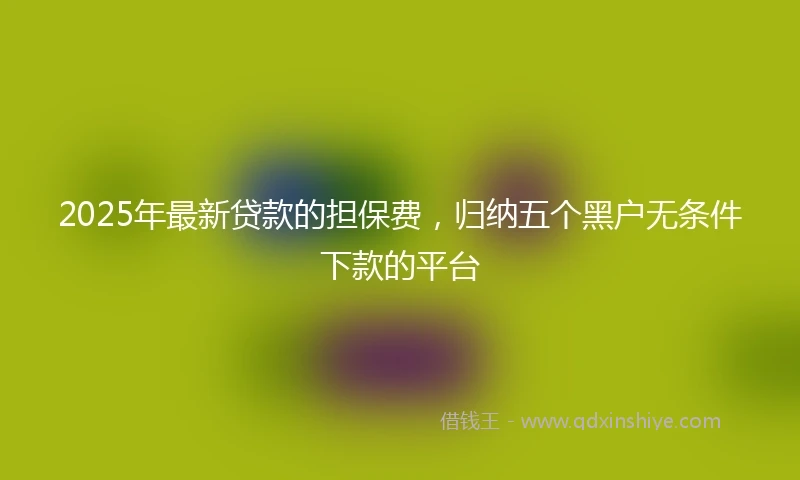 2025年最新贷款的担保费，归纳五个黑户无条件下款的平台