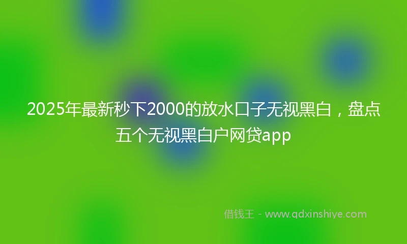 2025年最新秒下2000的放水口子无视黑白，盘点五个无视黑白户网贷app