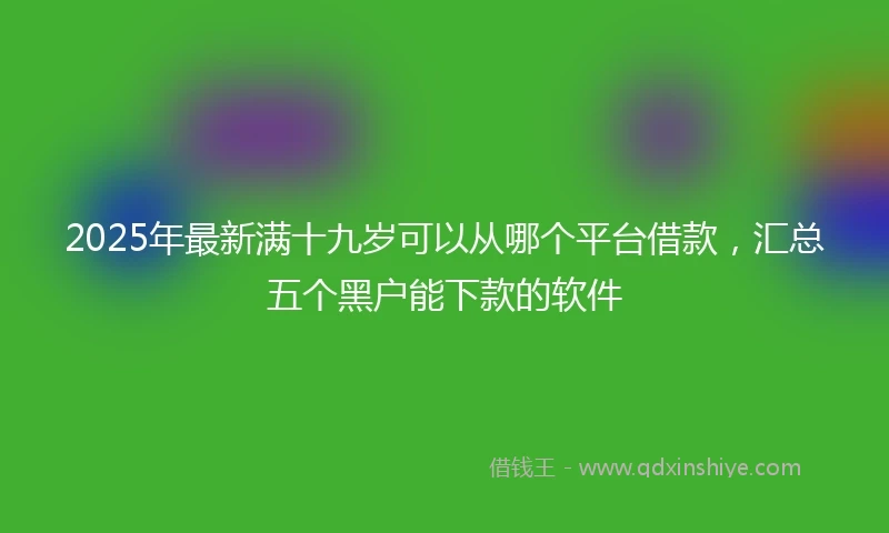 2025年最新满十九岁可以从哪个平台借款，汇总五个黑户能下款的软件