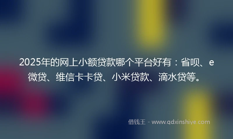 2025年的网上小额贷款哪个平台好有：省呗、e微贷、维信卡卡贷、小米贷款、滴水贷等。