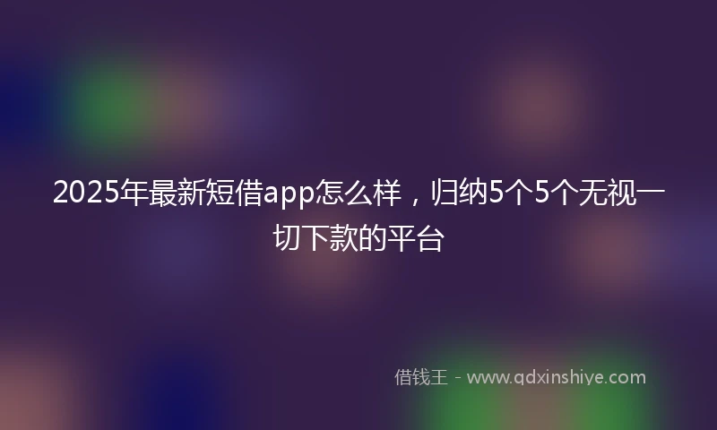2025年最新短借app怎么样，归纳5个5个无视一切下款的平台