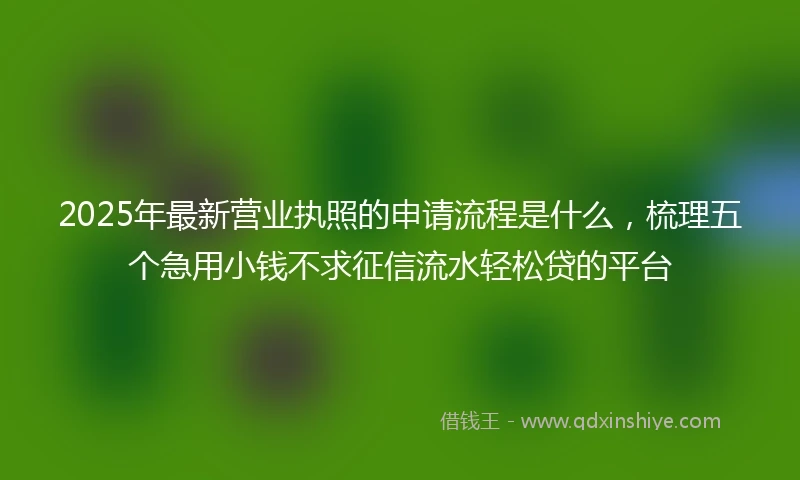 2025年最新营业执照的申请流程是什么，梳理五个急用小钱不求征信流水轻松贷的平台