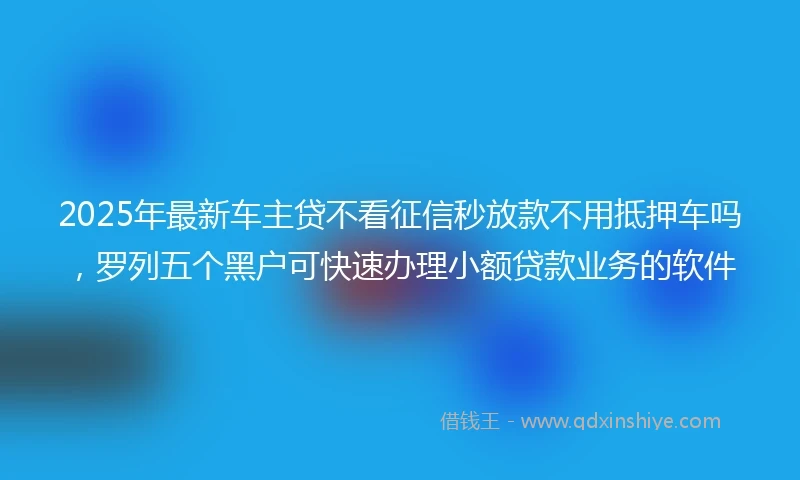 2025年最新车主贷不看征信秒放款不用抵押车吗，罗列五个黑户可快速办理小额贷款业务的软件