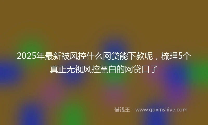 2025年最新被风控什么网贷能下款呢，梳理5个真正无视风控黑白的网贷口子
