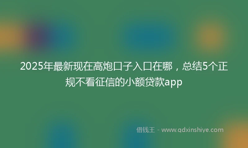 2025年最新现在高炮口子入口在哪，总结5个正规不看征信的小额贷款app