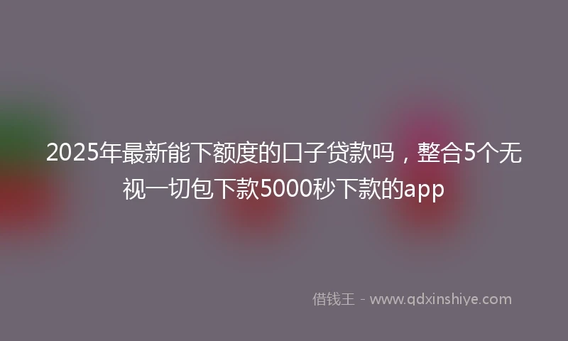 2025年最新能下额度的口子贷款吗，整合5个无视一切包下款5000秒下款的app