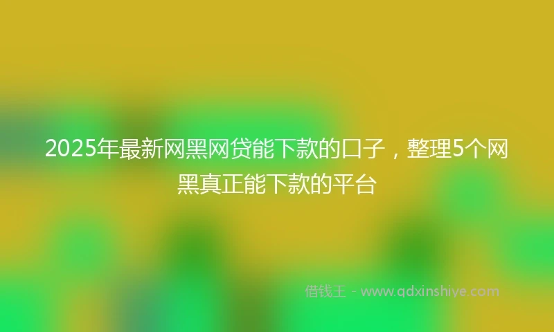 2025年最新网黑网贷能下款的口子，整理5个网黑真正能下款的平台