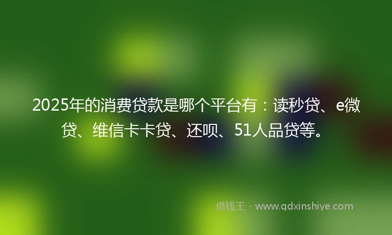 2025年的消费贷款是哪个平台有：读秒贷、e微贷、维信卡卡贷、还呗、51人品贷等。