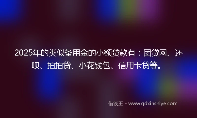 2025年的类似备用金的小额贷款有：团贷网、还呗、拍拍贷、小花钱包、信用卡贷等。