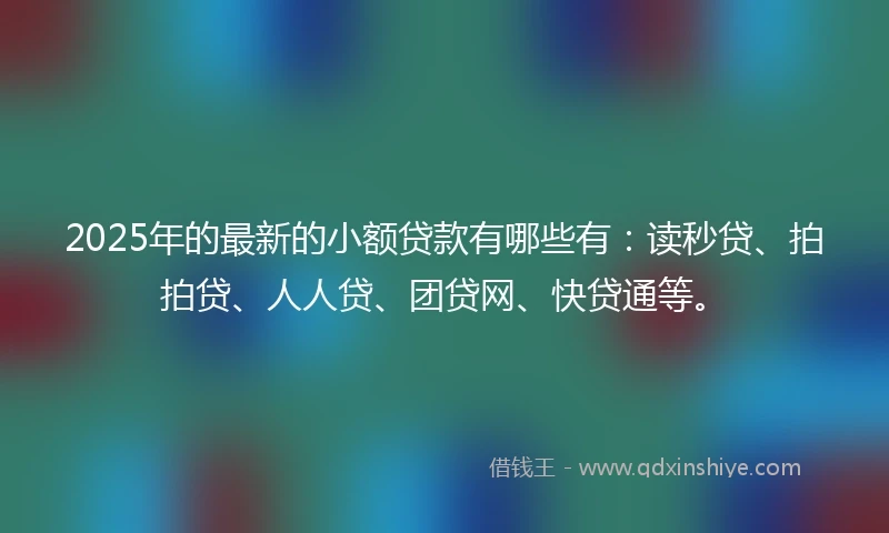 2025年的最新的小额贷款有哪些有：读秒贷、拍拍贷、人人贷、团贷网、快贷通等。