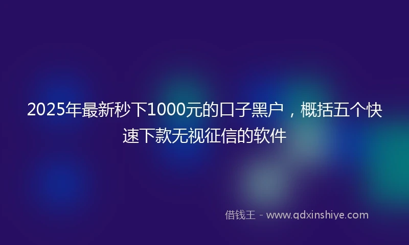 2025年最新秒下1000元的口子黑户，概括五个快速下款无视征信的软件
