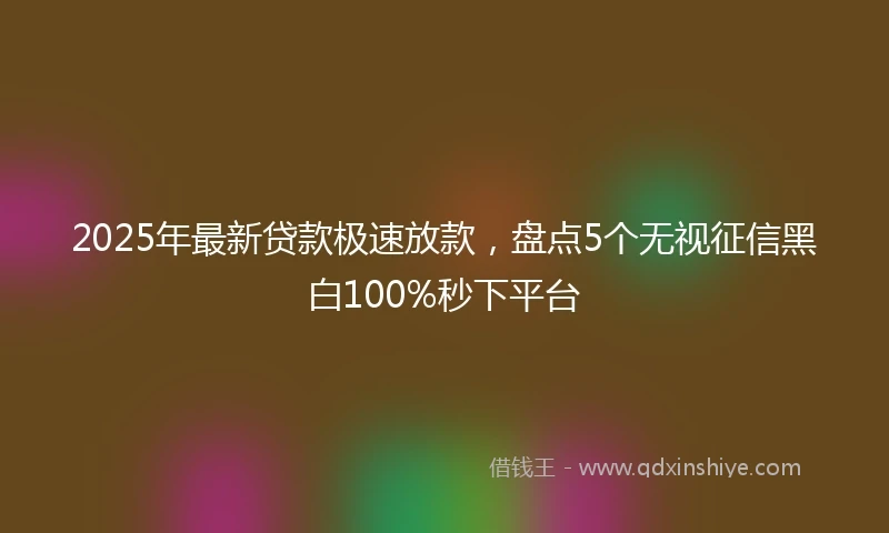 2025年最新贷款极速放款，盘点5个无视征信黑白100%秒下平台