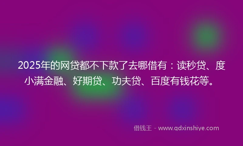 2025年的网贷都不下款了去哪借有：读秒贷、度小满金融、好期贷、功夫贷、百度有钱花等。