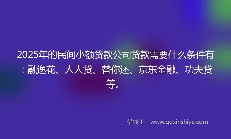 2025年的民间小额贷款公司贷款需要什么条件有：融逸花、人人贷、替你还、京东金融、功夫贷等。