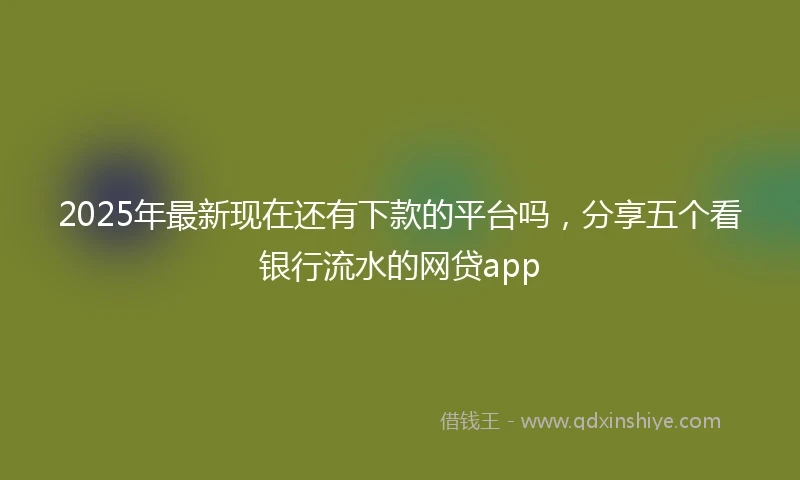 2025年最新现在还有下款的平台吗，分享五个看银行流水的网贷app