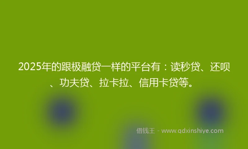 2025年的跟极融贷一样的平台有：读秒贷、还呗、功夫贷、拉卡拉、信用卡贷等。