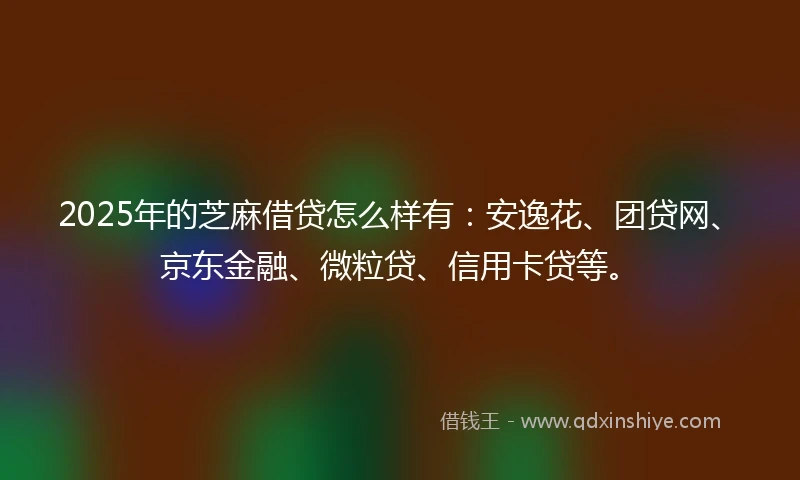 2025年的芝麻借贷怎么样有：安逸花、团贷网、京东金融、微粒贷、信用卡贷等。