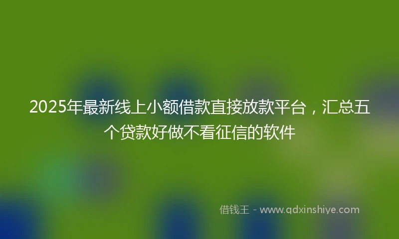 2025年最新线上小额借款直接放款平台，汇总五个贷款好做不看征信的软件