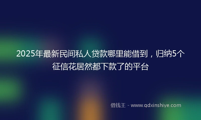 2025年最新民间私人贷款哪里能借到，归纳5个征信花居然都下款了的平台