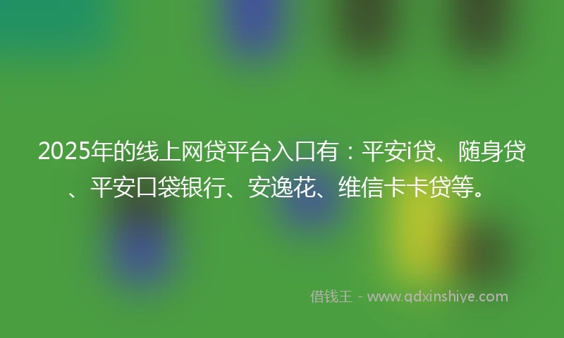 2025年的线上网贷平台入口有：平安i贷、随身贷、平安口袋银行、安逸花、维信卡卡贷等。