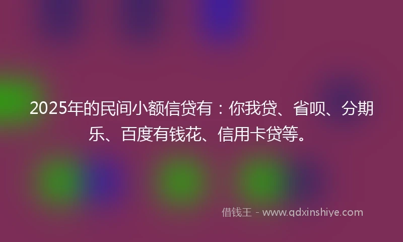 2025年的民间小额信贷有：你我贷、省呗、分期乐、百度有钱花、信用卡贷等。