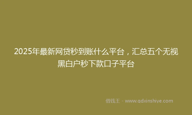 2025年最新网贷秒到账什么平台，汇总五个无视黑白户秒下款口子平台