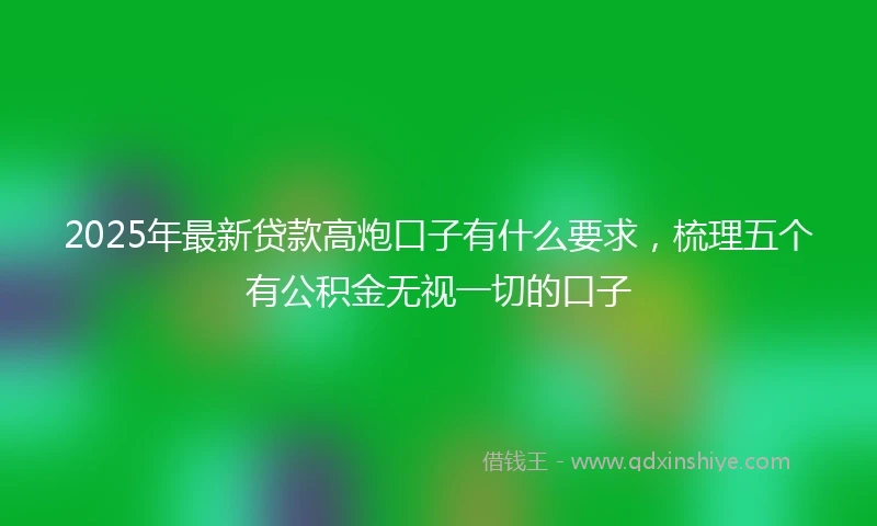 2025年最新贷款高炮口子有什么要求，梳理五个有公积金无视一切的口子