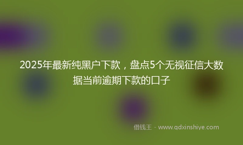 2025年最新纯黑户下款，盘点5个无视征信大数据当前逾期下款的口子