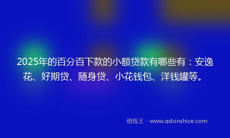 2025年的百分百下款的小额贷款有哪些有：安逸花、好期贷、随身贷、小花钱包、洋钱罐等。