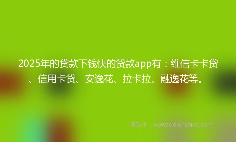 2025年的贷款下钱快的贷款app有：维信卡卡贷、信用卡贷、安逸花、拉卡拉、融逸花等。