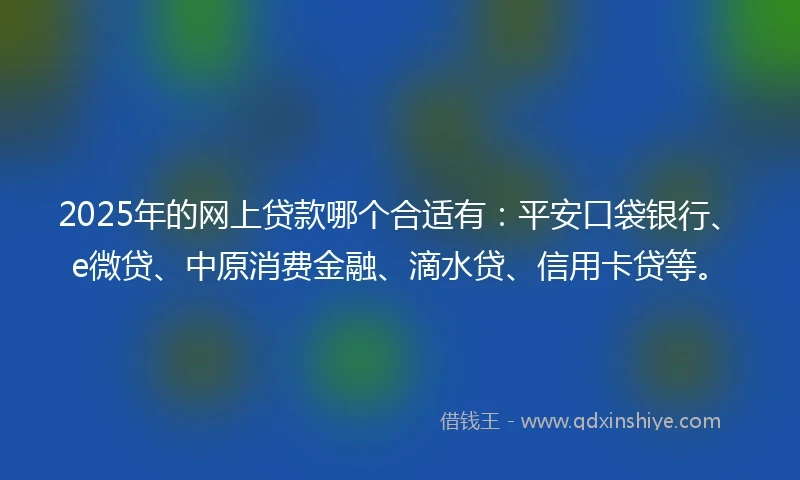 2025年的网上贷款哪个合适有:平安口袋银行、e微贷、中原消费金融、滴水贷、信用卡贷等。