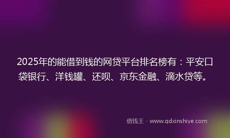 2025年的能借到钱的网贷平台排名榜有：平安口袋银行、洋钱罐、还呗、京东金融、滴水贷等。