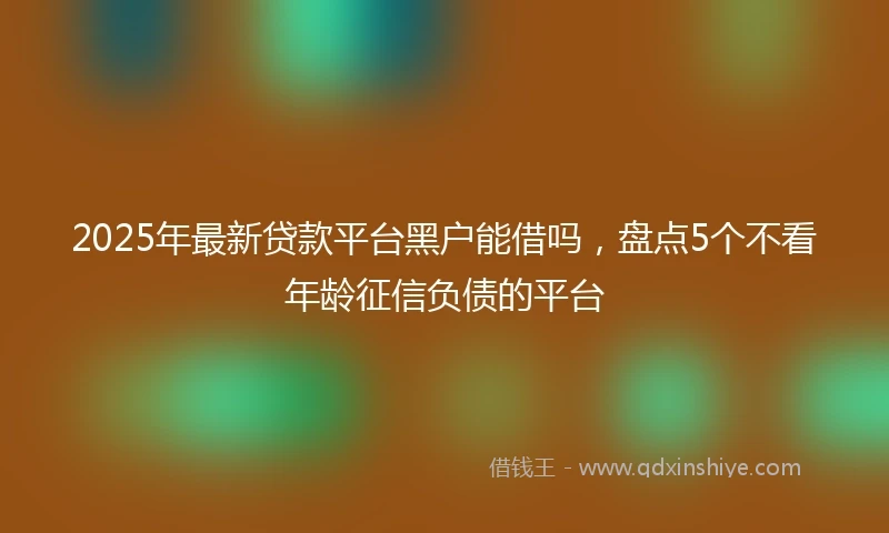 2025年最新贷款平台黑户能借吗，盘点5个不看年龄征信负债的平台