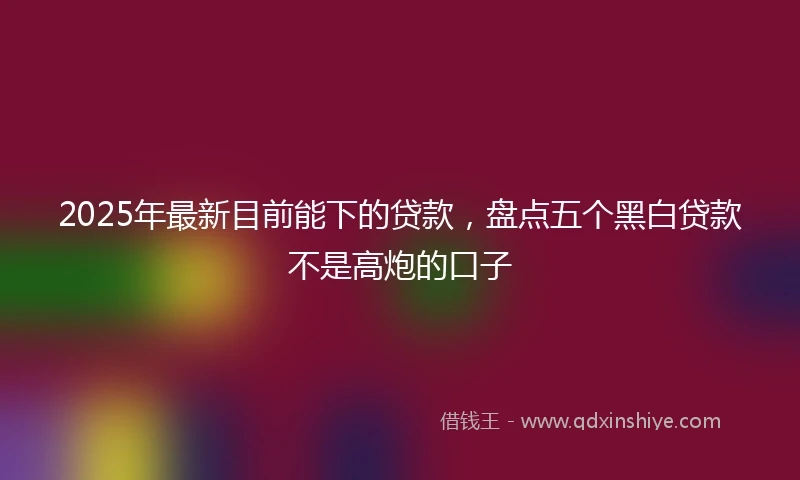 2025年最新目前能下的贷款，盘点五个黑白贷款不是高炮的口子