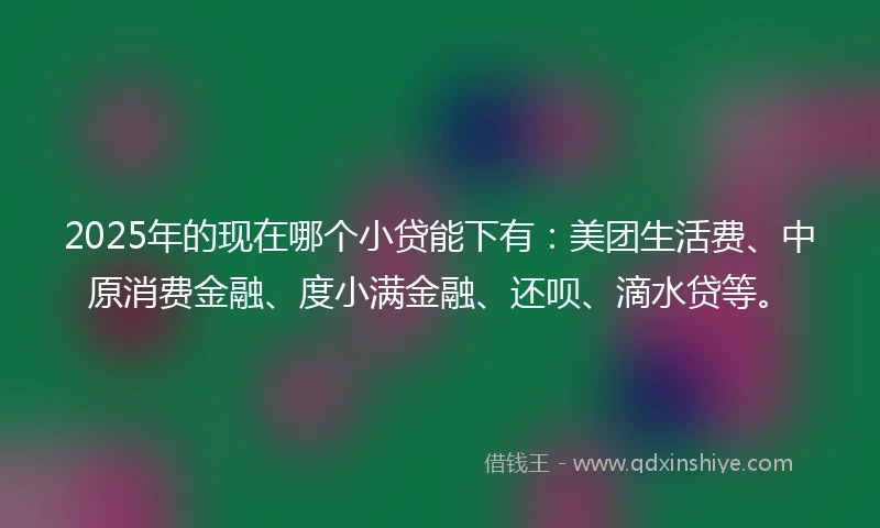 2025年的现在哪个小贷能下有：美团生活费、中原消费金融、度小满金融、还呗、滴水贷等。