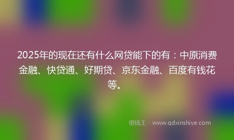 2025年的现在还有什么网贷能下的有：中原消费金融、快贷通、好期贷、京东金融、百度有钱花等。