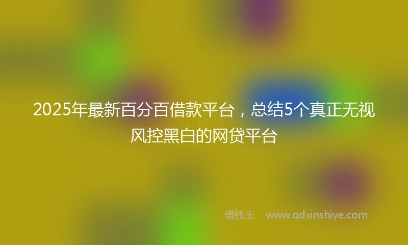 2025年最新百分百借款平台，总结5个真正无视风控黑白的网贷平台