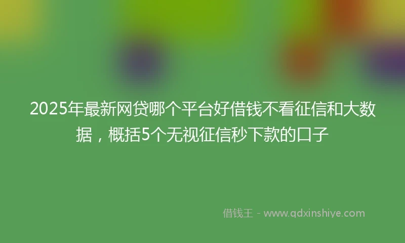 2025年最新网贷哪个平台好借钱不看征信和大数据，概括5个无视征信秒下款的口子