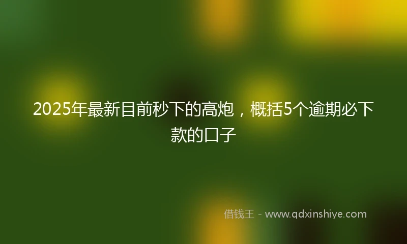 2025年最新目前秒下的高炮，概括5个逾期必下款的口子