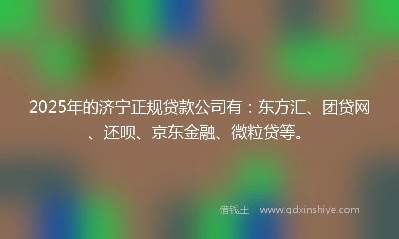 2025年的济宁正规贷款公司有：东方汇、团贷网、还呗、京东金融、微粒贷等。