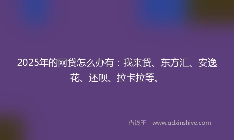 2025年的网贷怎么办有：我来贷、东方汇、安逸花、还呗、拉卡拉等。