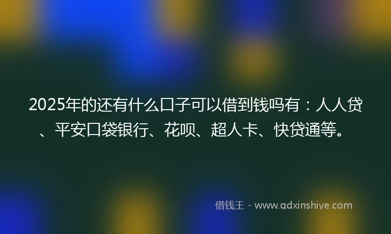 2025年的还有什么口子可以借到钱吗有：人人贷、平安口袋银行、花呗、超人卡、快贷通等。
