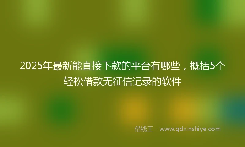 2025年最新能直接下款的平台有哪些，概括5个轻松借款无征信记录的软件
