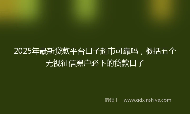 2025年最新贷款平台口子超市可靠吗，概括五个无视征信黑户必下的贷款口子