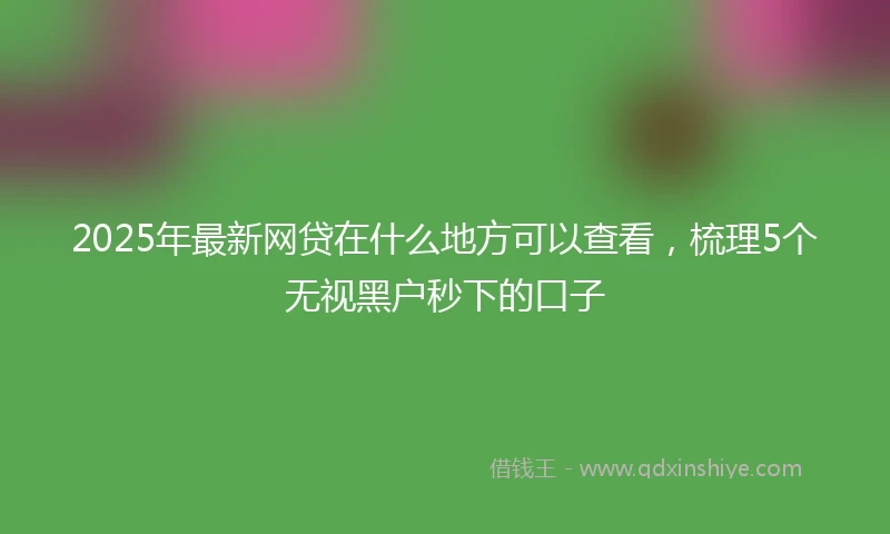 2025年最新网贷在什么地方可以查看，梳理5个无视黑户秒下的口子