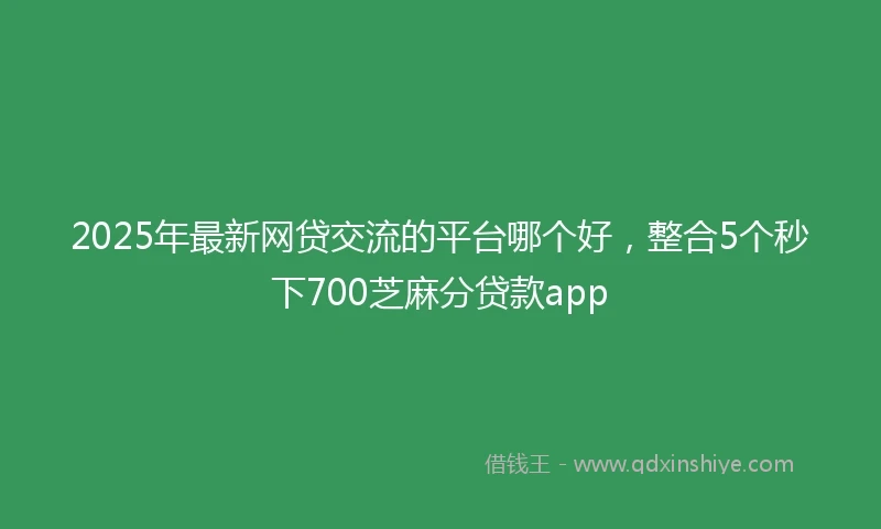 2025年最新网贷交流的平台哪个好,整合5个秒下700芝麻分贷款app