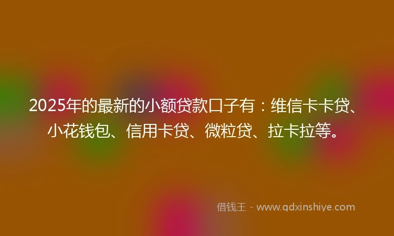 2025年的最新的小额贷款口子有：维信卡卡贷、小花钱包、信用卡贷、微粒贷、拉卡拉等。